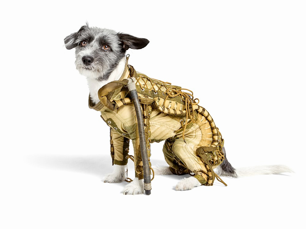 Dog Spacesuit Among Artist's Soviet Space Artifacts for Auction